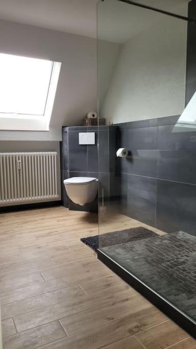 Apartment Schwarzwaldmaedel Friedenweiler Exteriér fotografie
